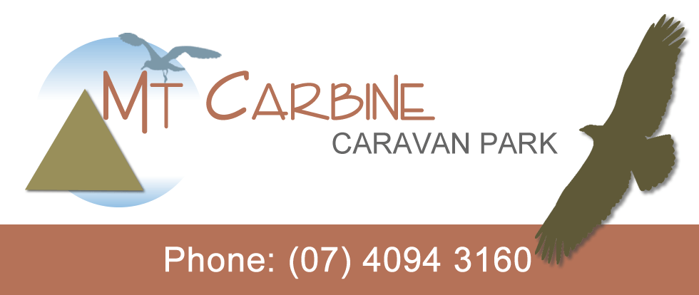 Mt Carbine